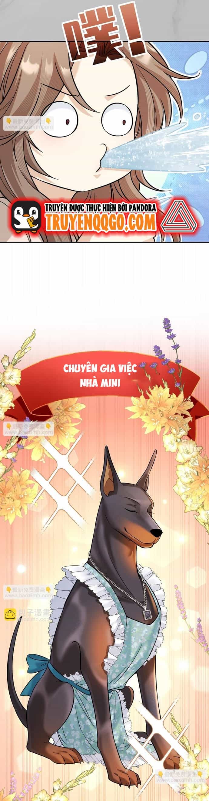 Vô Tình Kết Hôn Với Tổng Tài - Chương 11 - ảnh 14