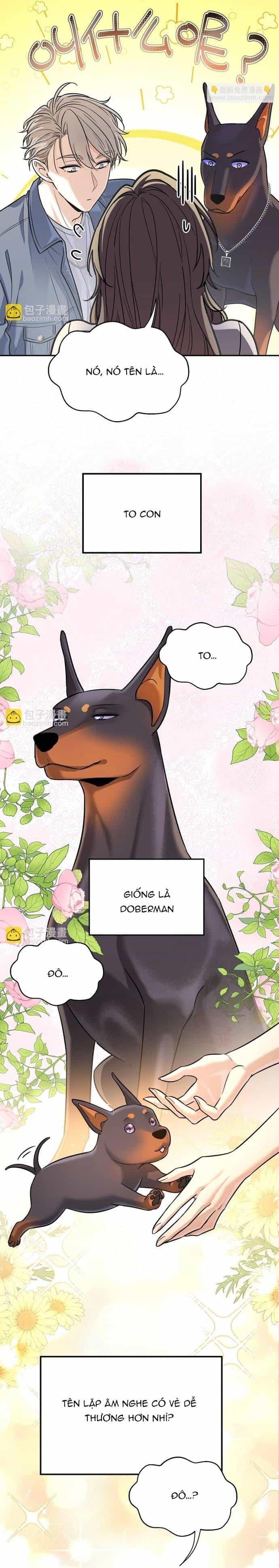 Vô Tình Kết Hôn Với Tổng Tài - Chương 12 - ảnh 6