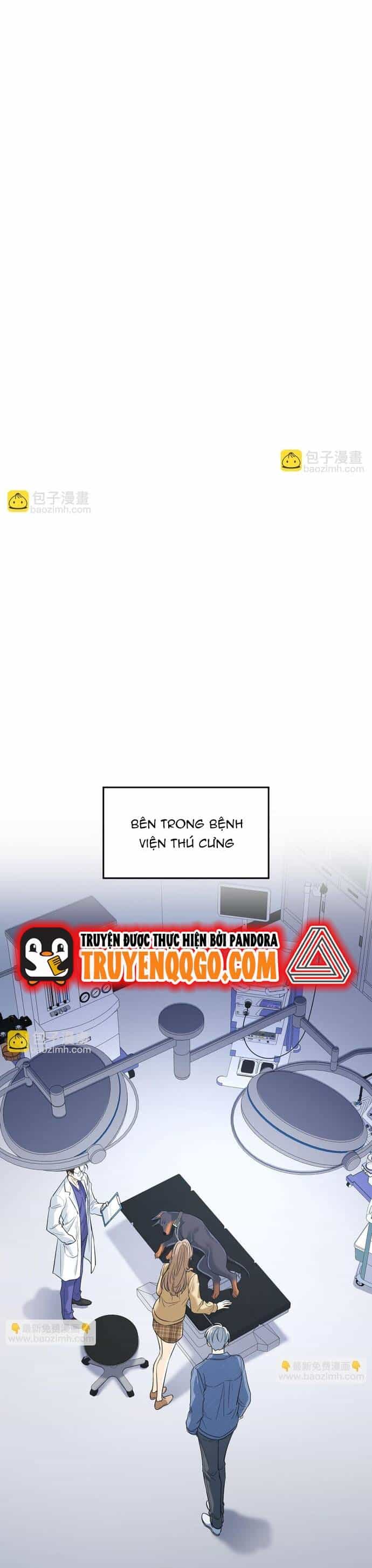 Vô Tình Kết Hôn Với Tổng Tài - Chương 14 - ảnh 8