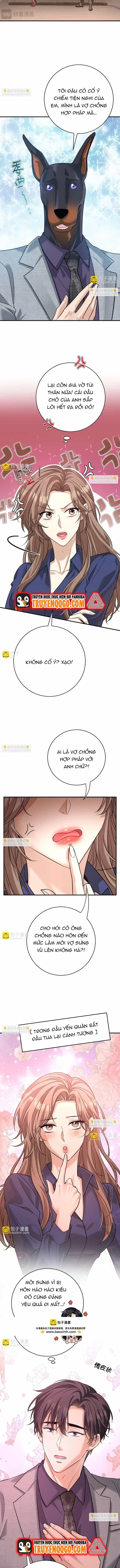 Vô Tình Kết Hôn Với Tổng Tài - Chương 25 - ảnh 9
