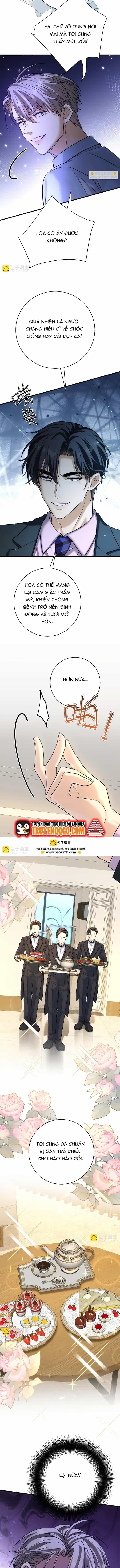 Vô Tình Kết Hôn Với Tổng Tài - Chương 37 - ảnh 7