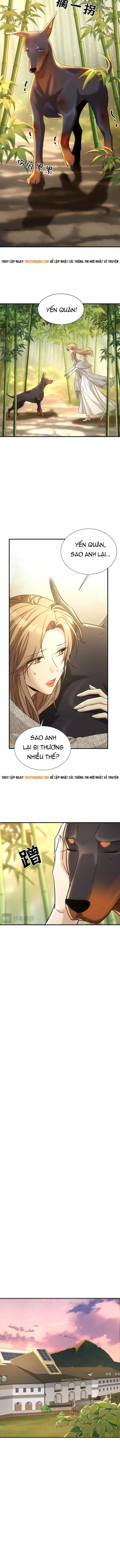 Vô Tình Kết Hôn Với Tổng Tài - Chương 42 - ảnh 5
