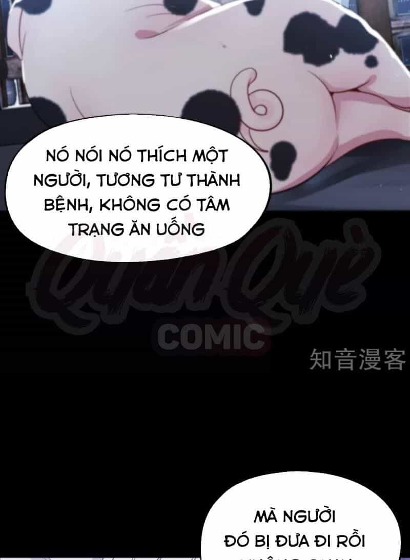 Vòng Bạn Bè Mạnh Nhất Của Tiên Giới - Chương 42 - ảnh 53