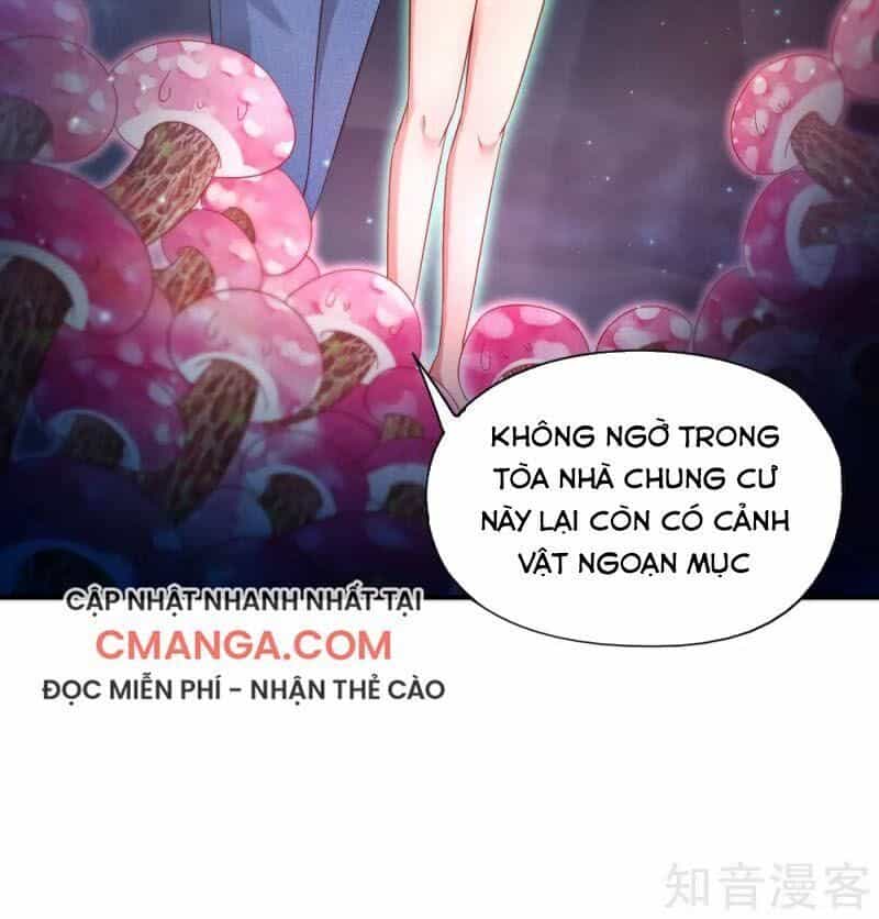 Vòng Bạn Bè Mạnh Nhất Của Tiên Giới - Chương 46 - ảnh 2