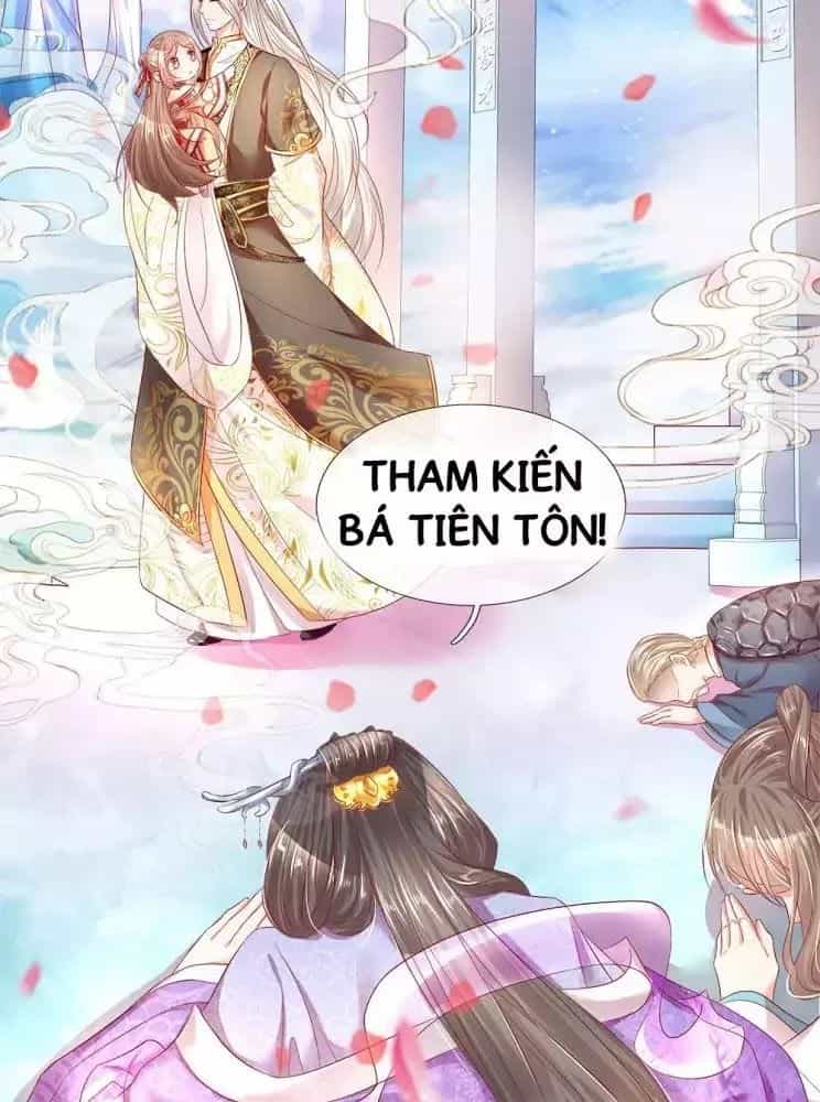 Vú Em Tiên Tôn Đi Ở Rể - Chương 1 - ảnh 14
