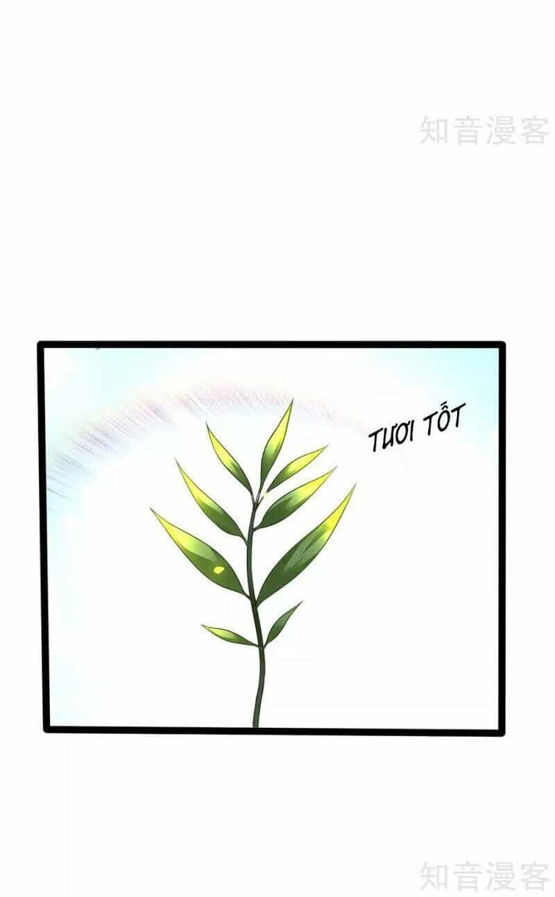 Vú Em Tiên Tôn Đi Ở Rể - Chương 154 - ảnh 27