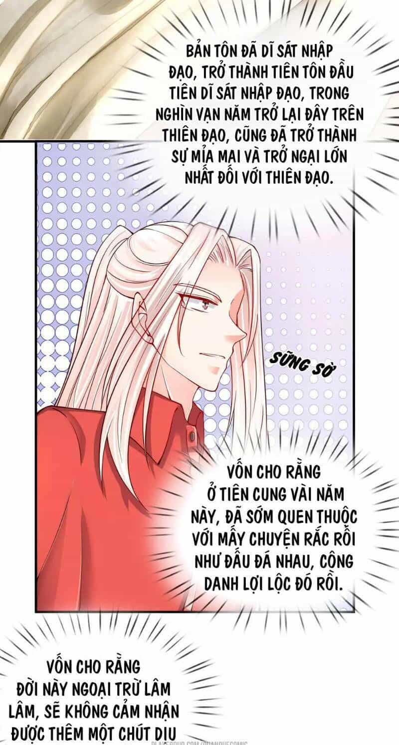 Vú Em Tiên Tôn Đi Ở Rể - Chương 42 - ảnh 15