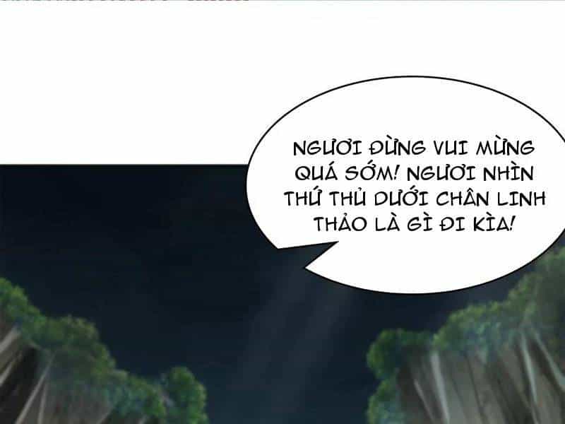 Vừa Cầm Được Thái Cổ Tiên Dược, Ta Đã Đe Dọa Thánh Chủ - Chương 41 - ảnh 17
