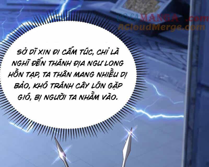 Vừa Cầm Được Thái Cổ Tiên Dược, Ta Đã Đe Dọa Thánh Chủ - Chương 68 - ảnh 45