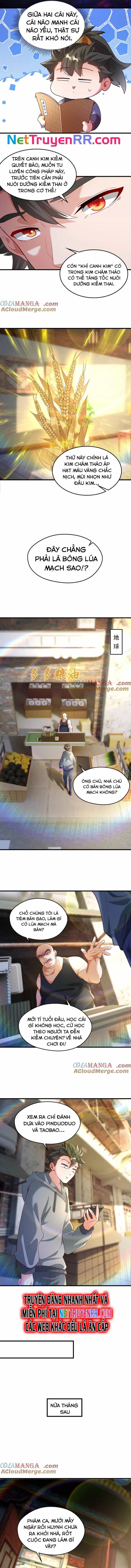 Vừa Cầm Được Thái Cổ Tiên Dược, Ta Đã Đe Dọa Thánh Chủ - Chương 71 - ảnh 3