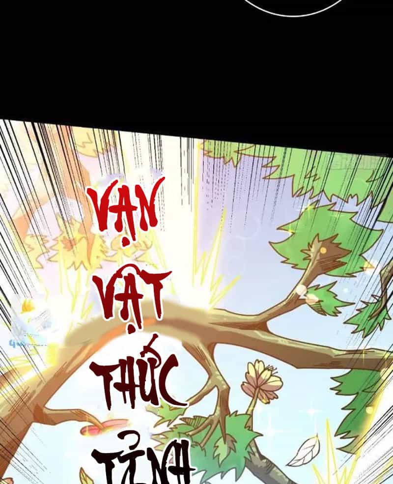 Vừa Chơi Đã Có Tài Khoản Vương Giả - Chương 393 - ảnh 34