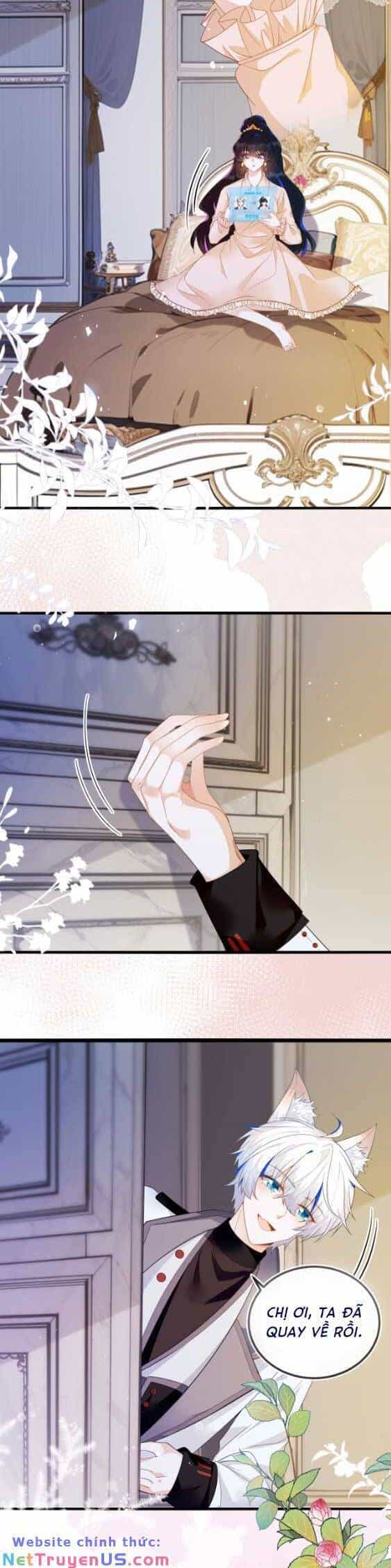 Vừa Mới Huỷ Hôn Đã Bị Dã Hồ Ly Lừa Kết Hôn - Chương 10 - ảnh 18