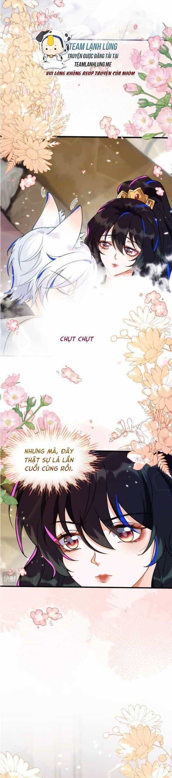 Vừa Mới Huỷ Hôn Đã Bị Dã Hồ Ly Lừa Kết Hôn - Chương 11 - ảnh 6