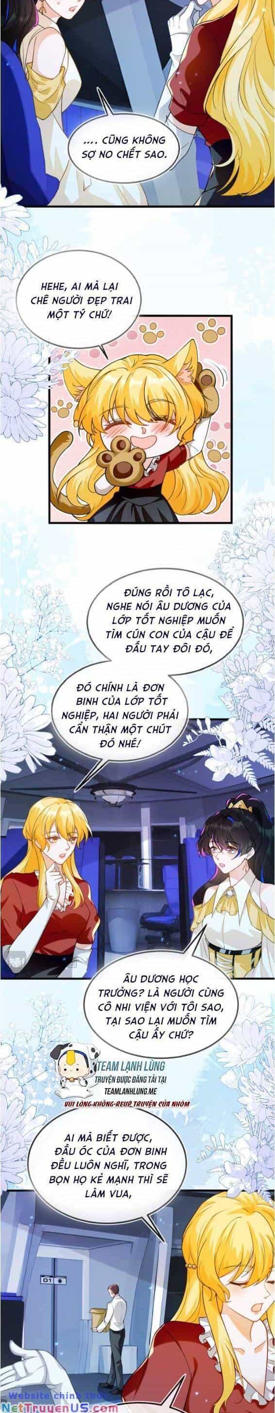 Vừa Mới Huỷ Hôn Đã Bị Dã Hồ Ly Lừa Kết Hôn - Chương 12 - ảnh 13