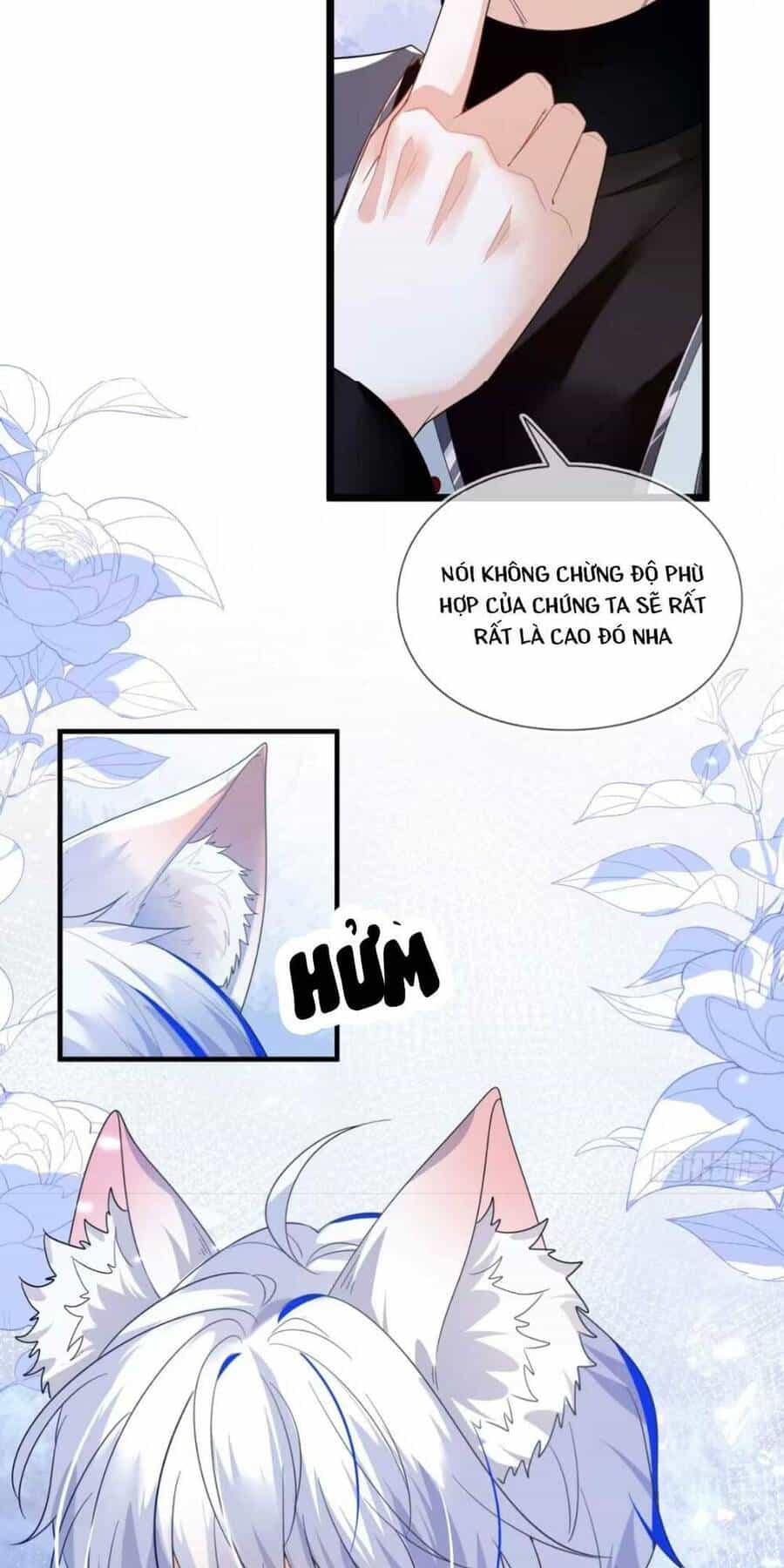 Vừa Mới Huỷ Hôn Đã Bị Dã Hồ Ly Lừa Kết Hôn - Chương 1 - ảnh 43