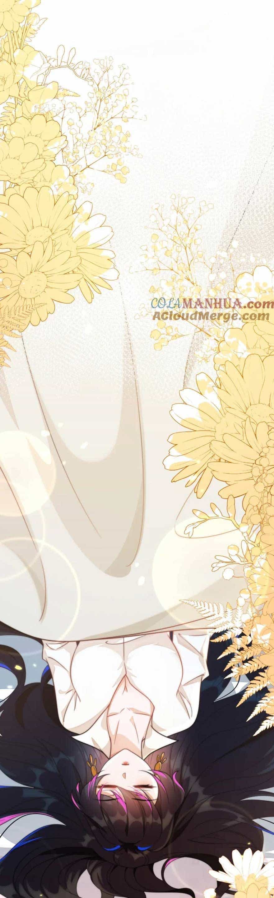 Vừa Mới Huỷ Hôn Đã Bị Dã Hồ Ly Lừa Kết Hôn - Chương 20 - ảnh 22