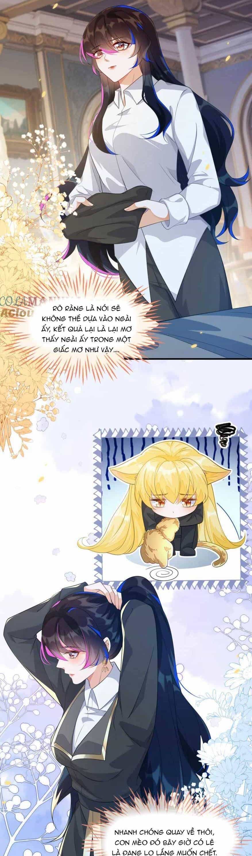 Vừa Mới Huỷ Hôn Đã Bị Dã Hồ Ly Lừa Kết Hôn - Chương 20 - ảnh 28