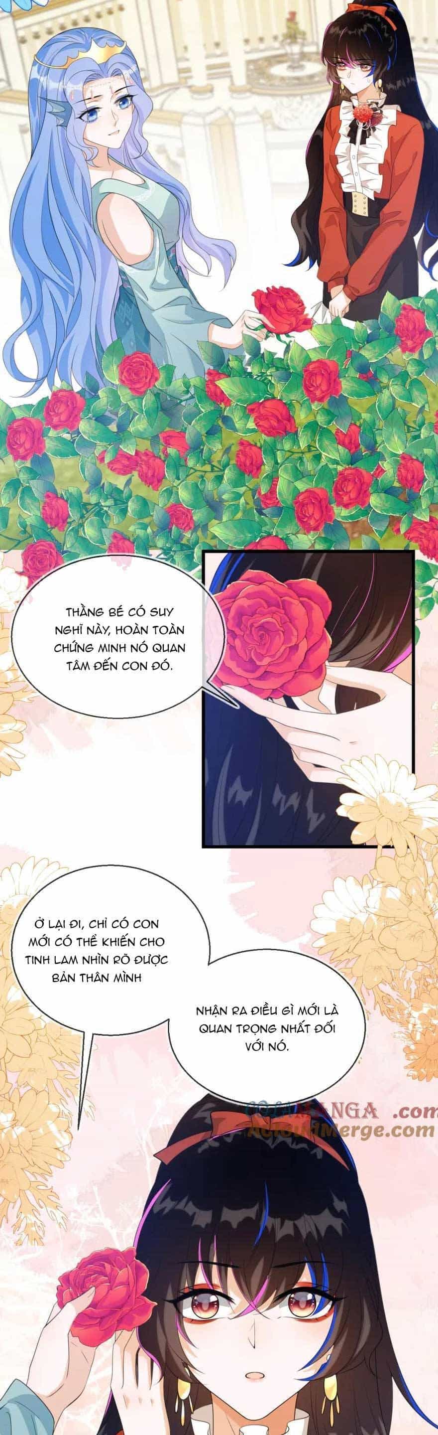 Vừa Mới Huỷ Hôn Đã Bị Dã Hồ Ly Lừa Kết Hôn - Chương 29 - ảnh 16