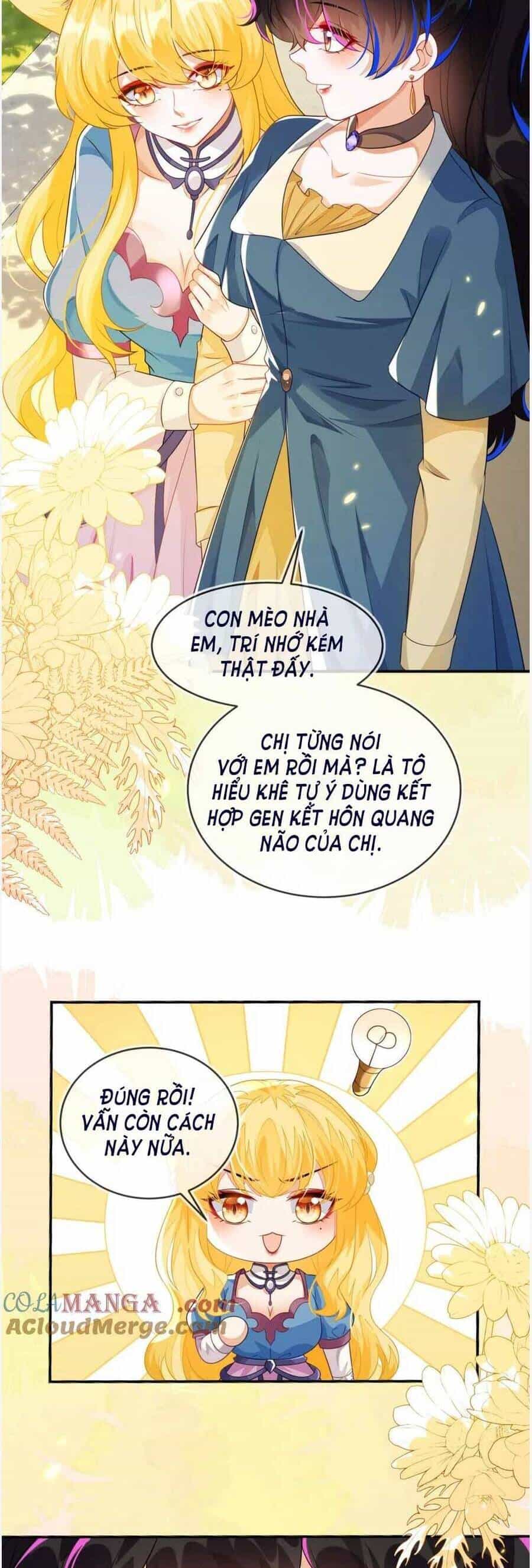 Vừa Mới Huỷ Hôn Đã Bị Dã Hồ Ly Lừa Kết Hôn - Chương 41 - ảnh 7