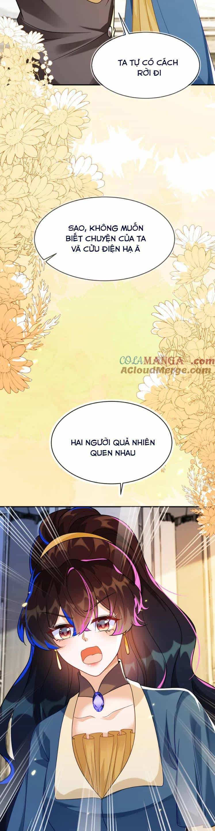 Vừa Mới Huỷ Hôn Đã Bị Dã Hồ Ly Lừa Kết Hôn - Chương 43 - ảnh 13