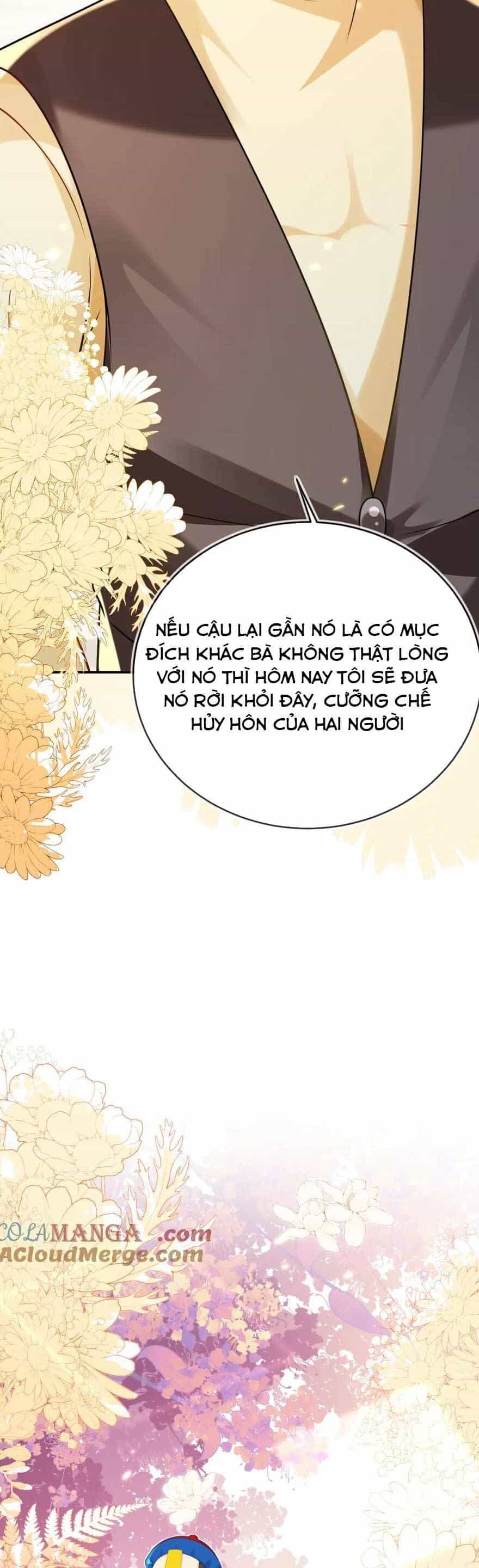 Vừa Mới Huỷ Hôn Đã Bị Dã Hồ Ly Lừa Kết Hôn - Chương 44 - ảnh 24