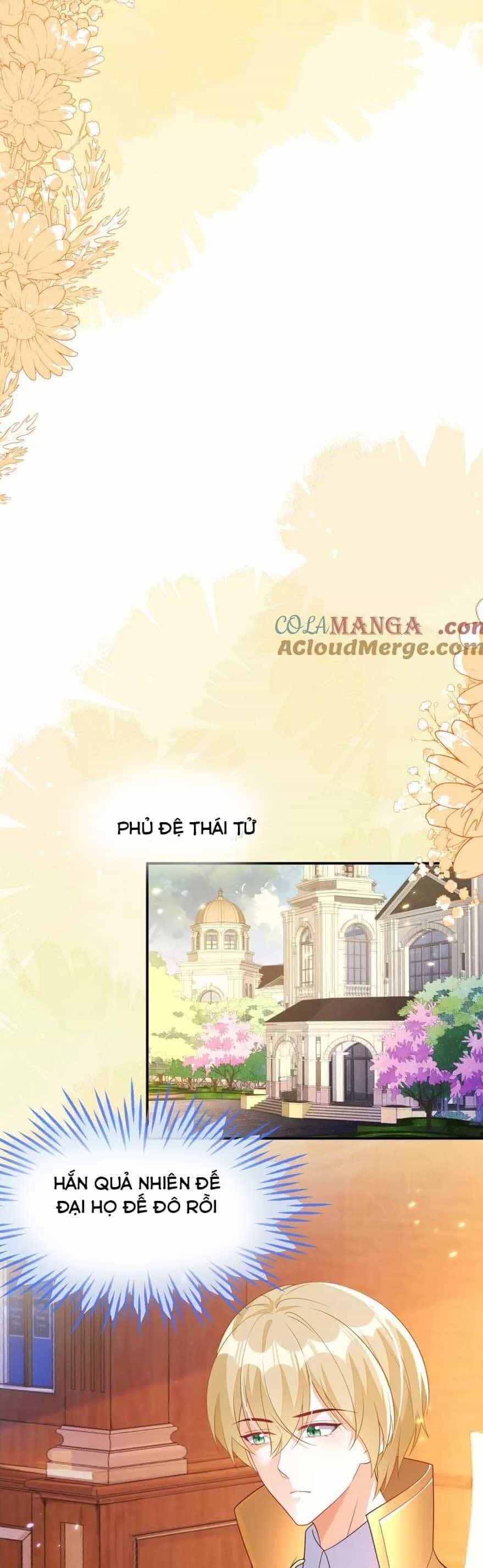 Vừa Mới Huỷ Hôn Đã Bị Dã Hồ Ly Lừa Kết Hôn - Chương 45 - ảnh 12
