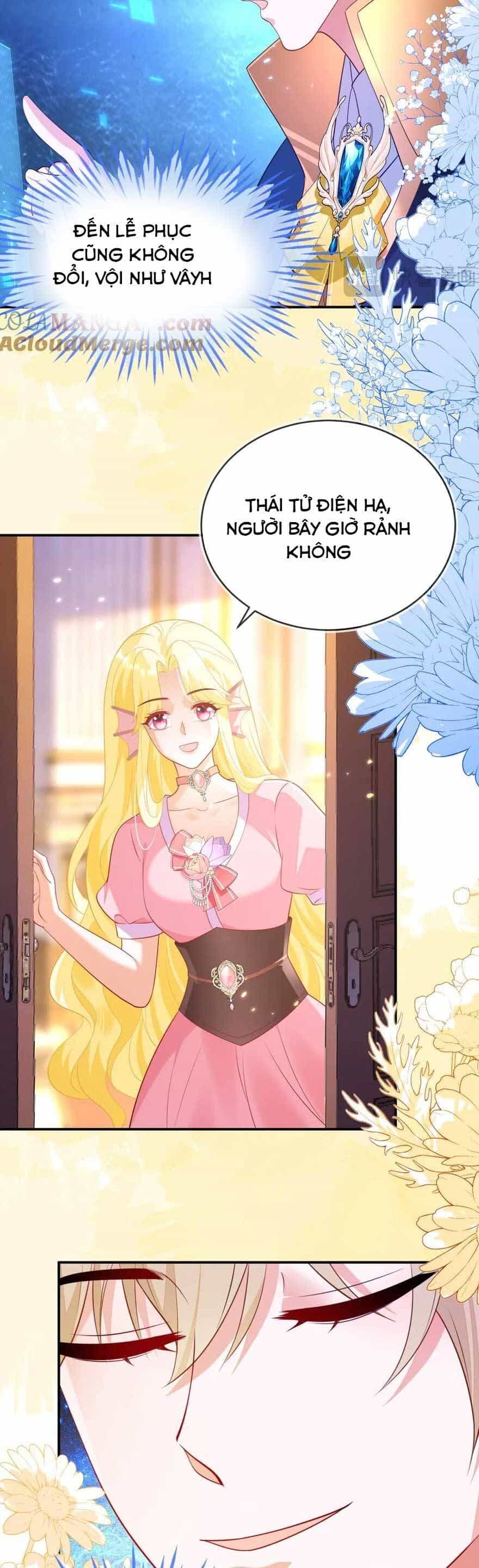 Vừa Mới Huỷ Hôn Đã Bị Dã Hồ Ly Lừa Kết Hôn - Chương 45 - ảnh 14