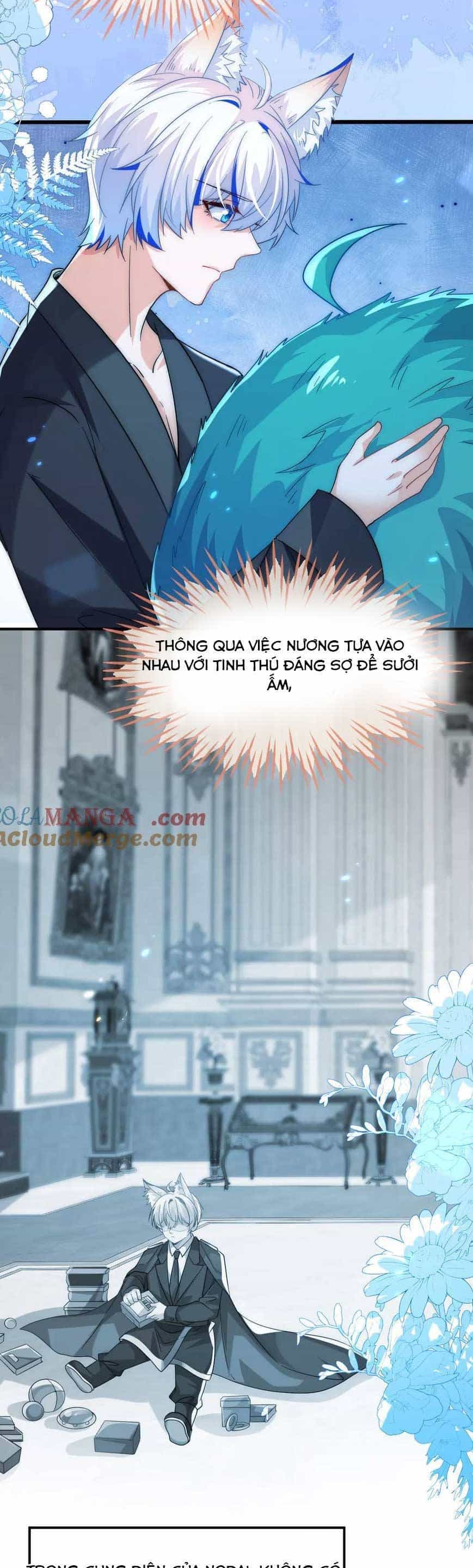Vừa Mới Huỷ Hôn Đã Bị Dã Hồ Ly Lừa Kết Hôn - Chương 50 - ảnh 21