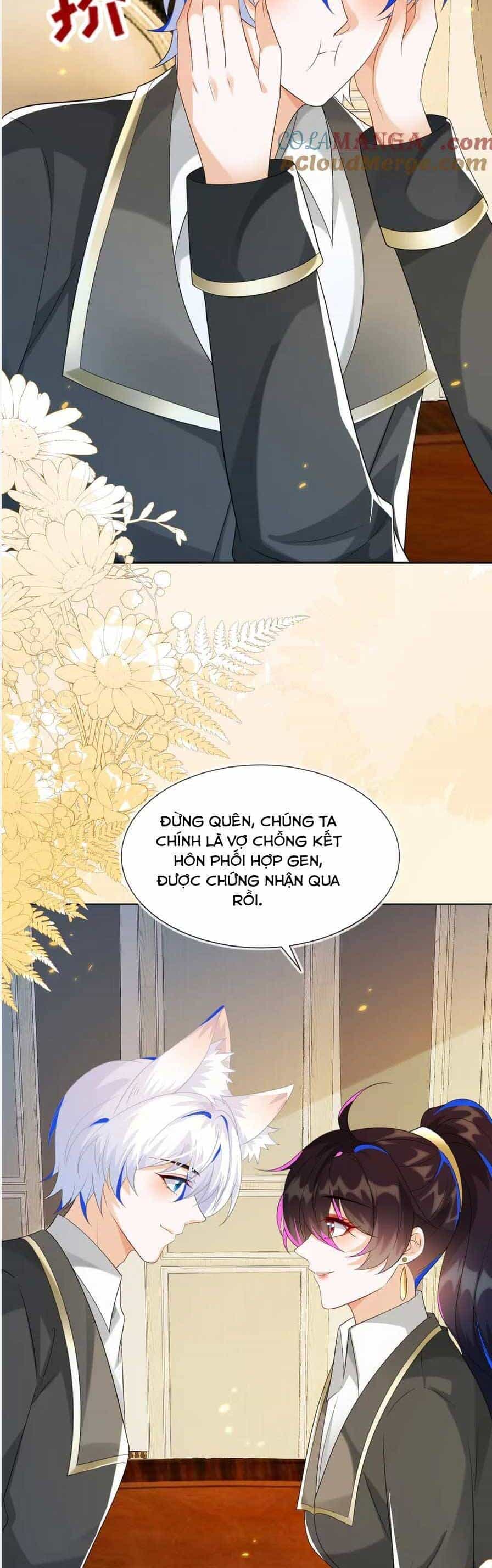 Vừa Mới Huỷ Hôn Đã Bị Dã Hồ Ly Lừa Kết Hôn - Chương 51 - ảnh 11