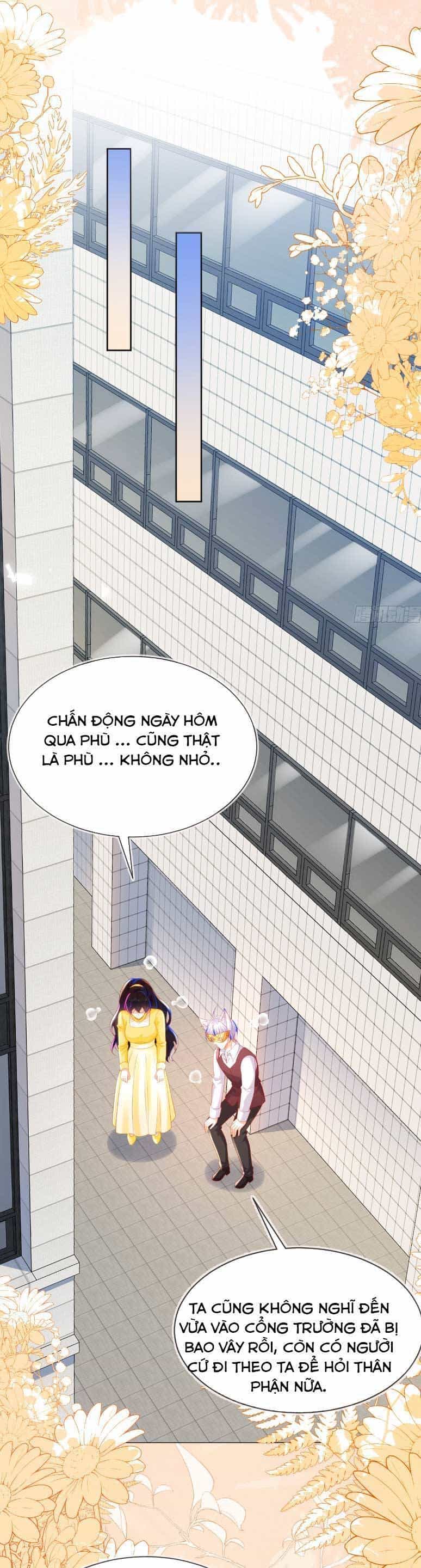Vừa Mới Huỷ Hôn Đã Bị Dã Hồ Ly Lừa Kết Hôn - Chương 54 - ảnh 13