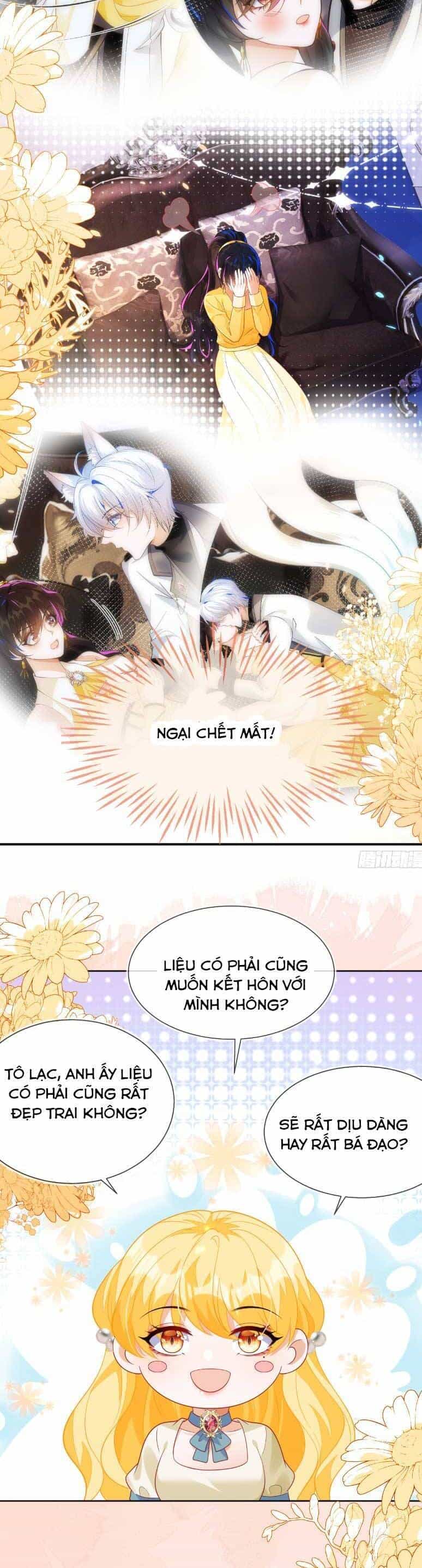 Vừa Mới Huỷ Hôn Đã Bị Dã Hồ Ly Lừa Kết Hôn - Chương 54 - ảnh 25