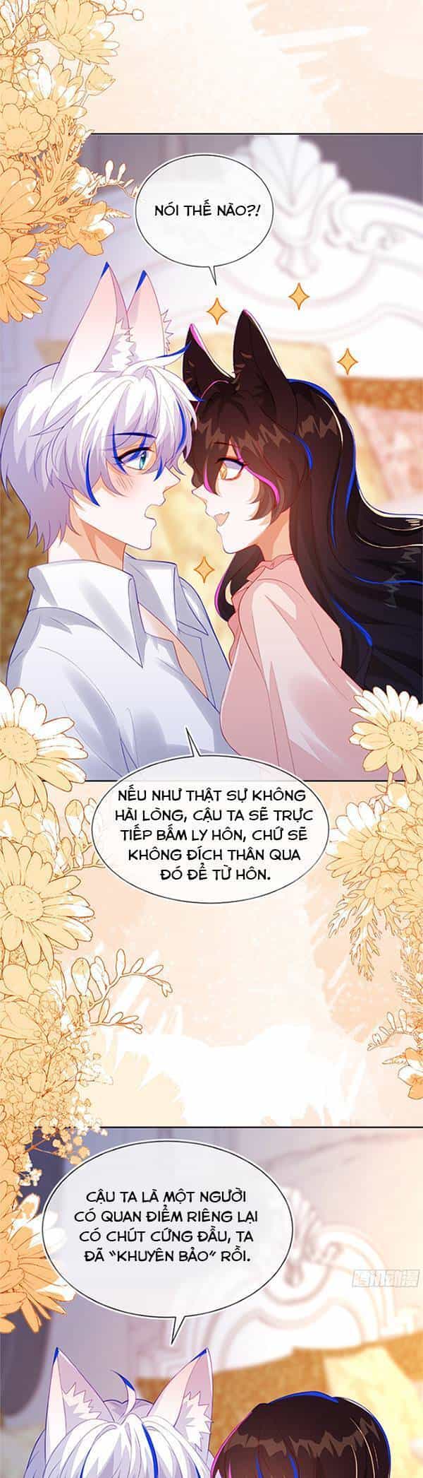 Vừa Mới Huỷ Hôn Đã Bị Dã Hồ Ly Lừa Kết Hôn - Chương 55 - ảnh 12