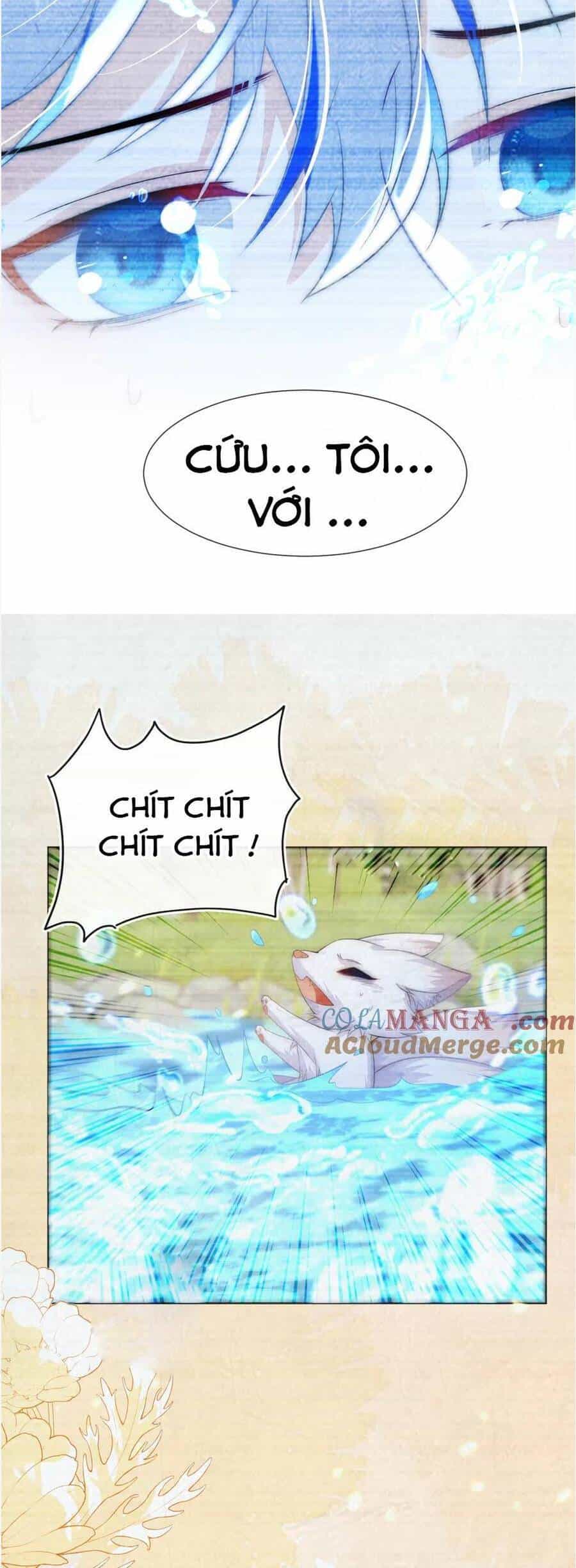 Vừa Mới Huỷ Hôn Đã Bị Dã Hồ Ly Lừa Kết Hôn - Chương 56 - ảnh 34