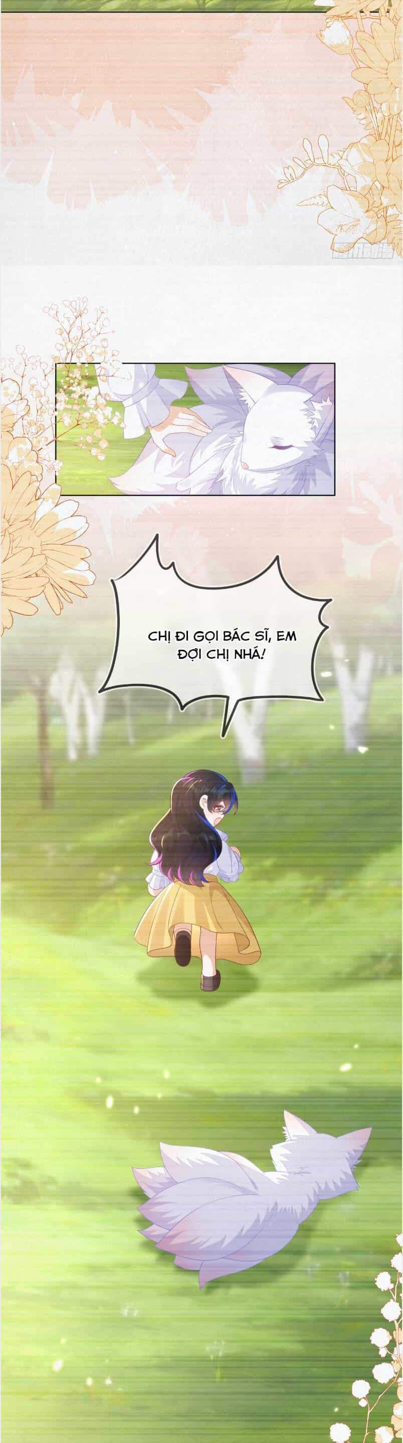 Vừa Mới Huỷ Hôn Đã Bị Dã Hồ Ly Lừa Kết Hôn - Chương 57 - ảnh 9