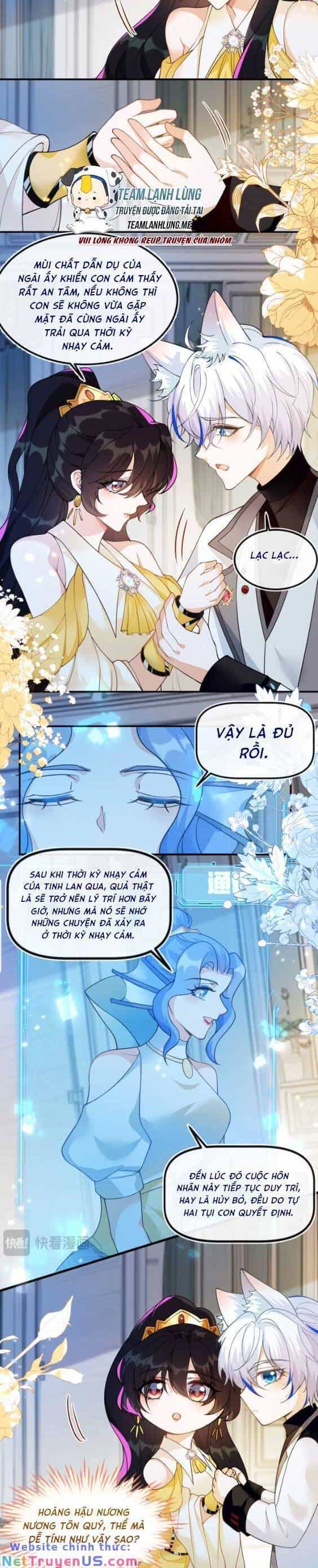 Vừa Mới Huỷ Hôn Đã Bị Dã Hồ Ly Lừa Kết Hôn - Chương 7 - ảnh 8