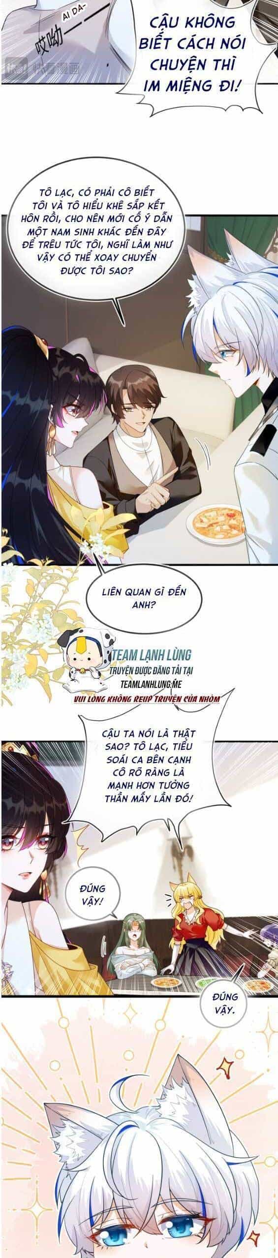Vừa Mới Huỷ Hôn Đã Bị Dã Hồ Ly Lừa Kết Hôn - Chương 8 - ảnh 7