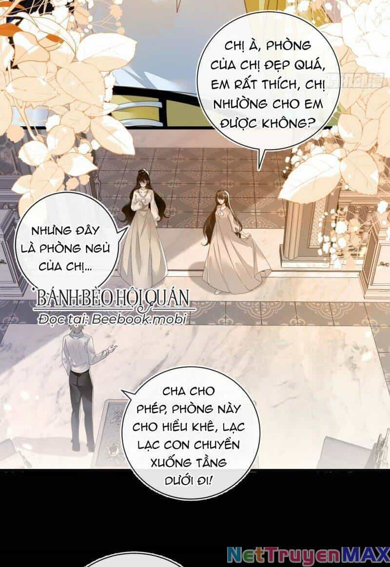 Vừa Từ Hôn Đã Bị Hồ Ly Lừa Vào Cục Dân Chính - Chương 1 - ảnh 21