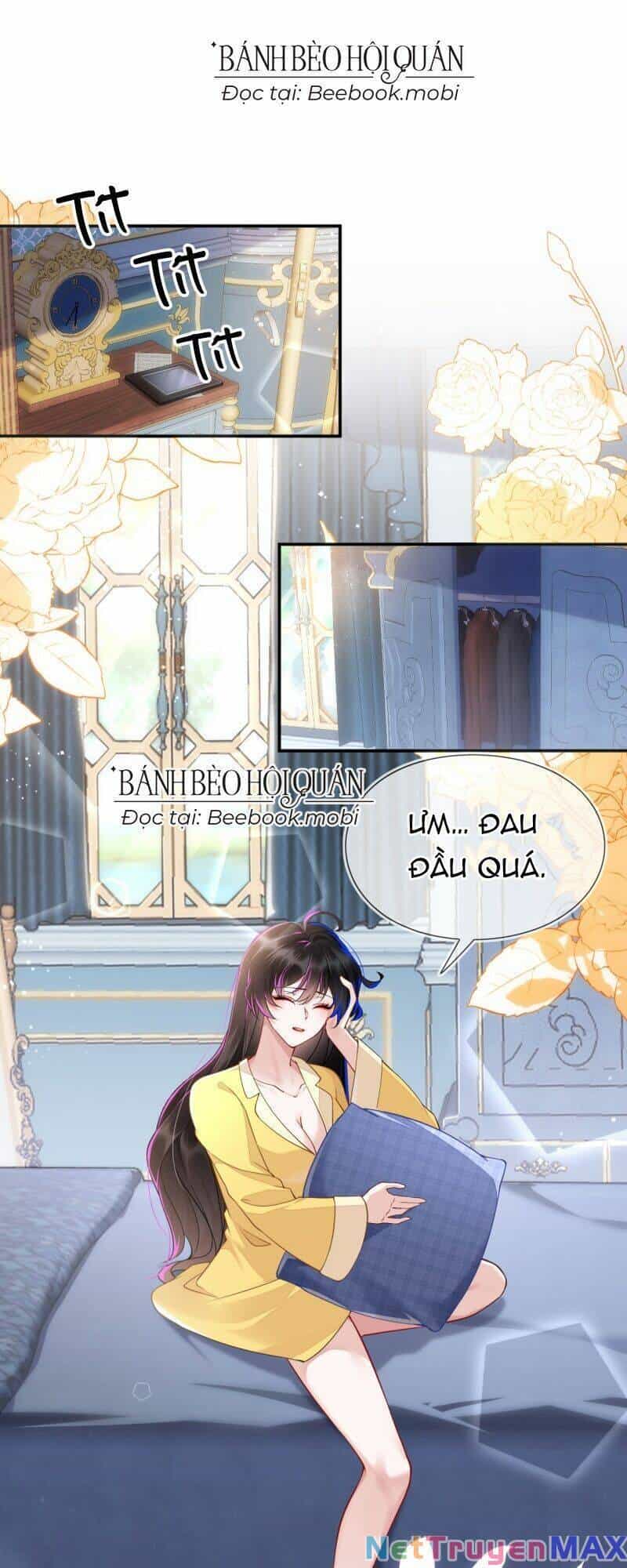 Vừa Từ Hôn Đã Bị Hồ Ly Lừa Vào Cục Dân Chính - Chương 2 - ảnh 2