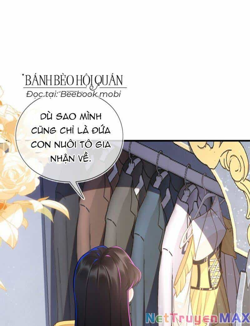 Vừa Từ Hôn Đã Bị Hồ Ly Lừa Vào Cục Dân Chính - Chương 2 - ảnh 9
