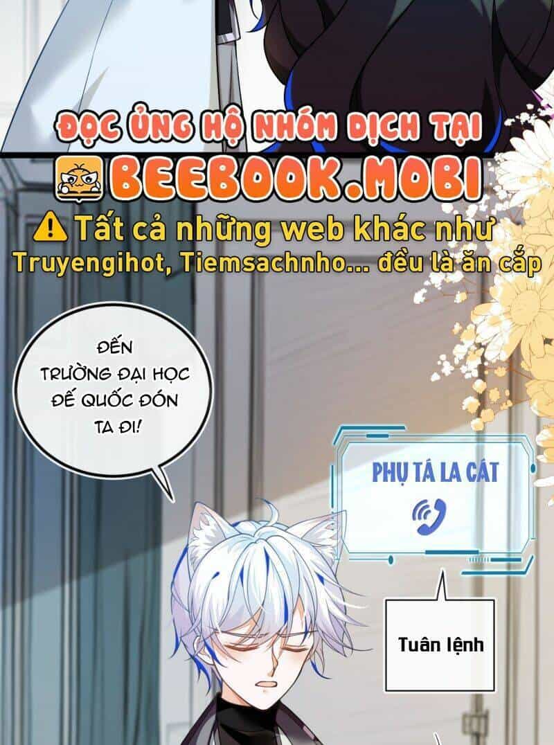 Vừa Từ Hôn Đã Bị Hồ Ly Lừa Vào Cục Dân Chính - Chương 5 - ảnh 27