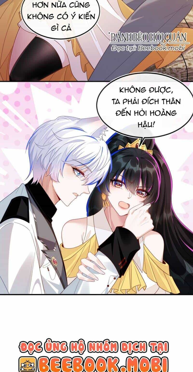 Vừa Từ Hôn Đã Bị Hồ Ly Lừa Vào Cục Dân Chính - Chương 6 - ảnh 33