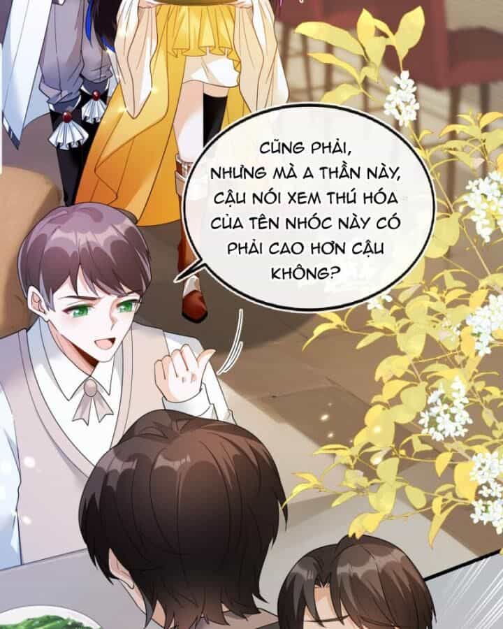 Vừa Từ Hôn Đã Bị Hồ Ly Lừa Vào Cục Dân Chính - Chương 8 - ảnh 12