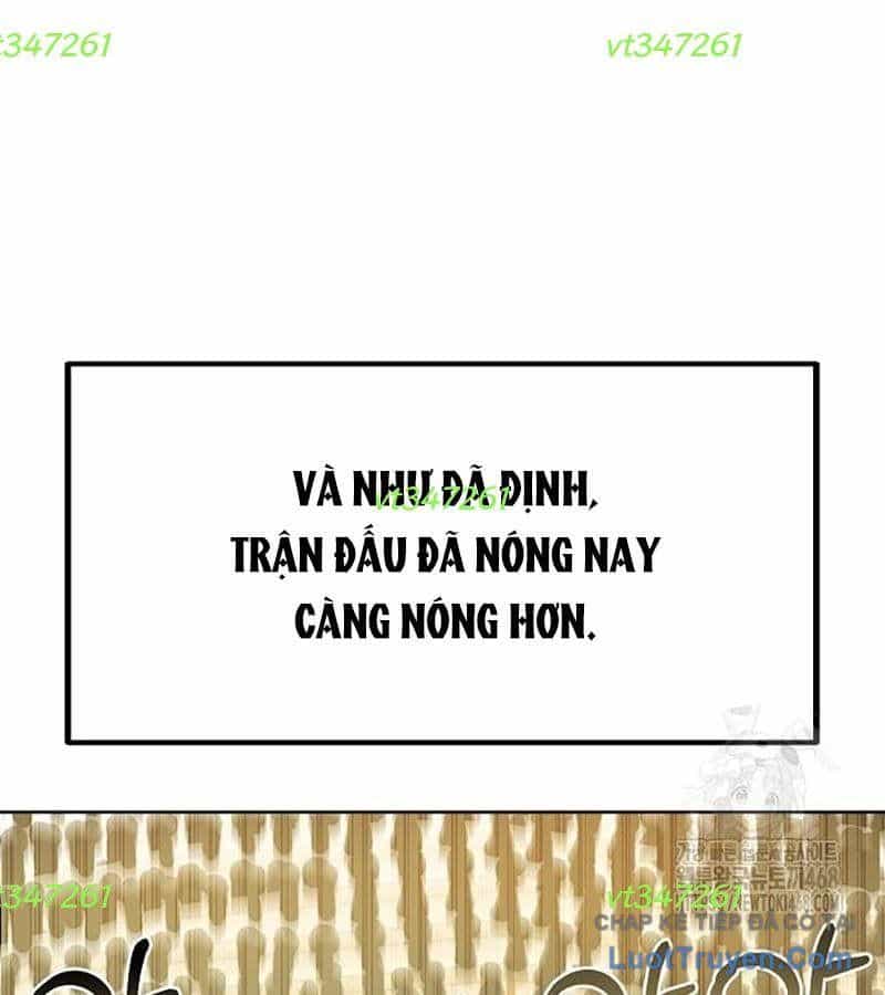 Vua Võ Đài - Chương 157 - ảnh 26