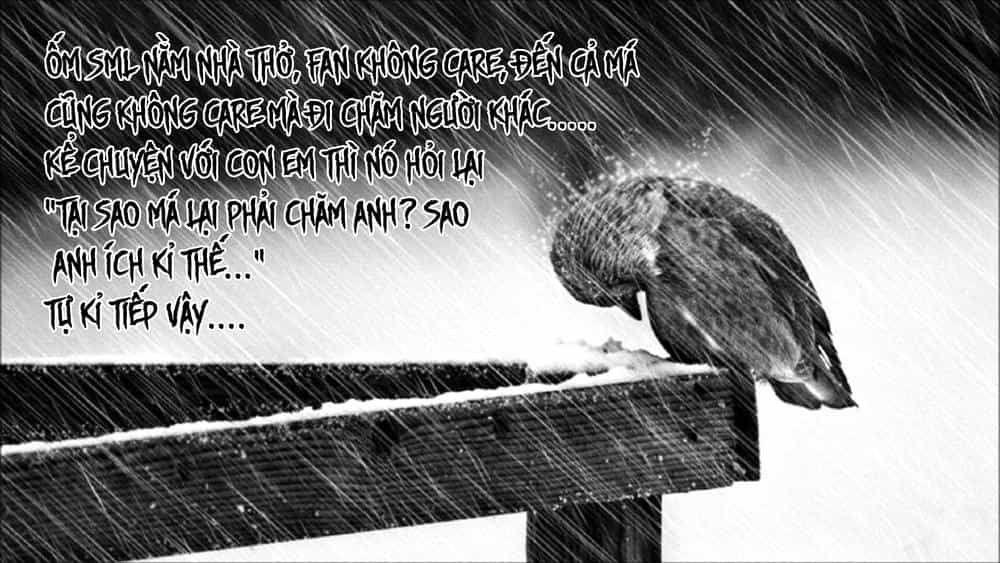 Vùng Đất Ma Pháp - Chương 111 - ảnh 25