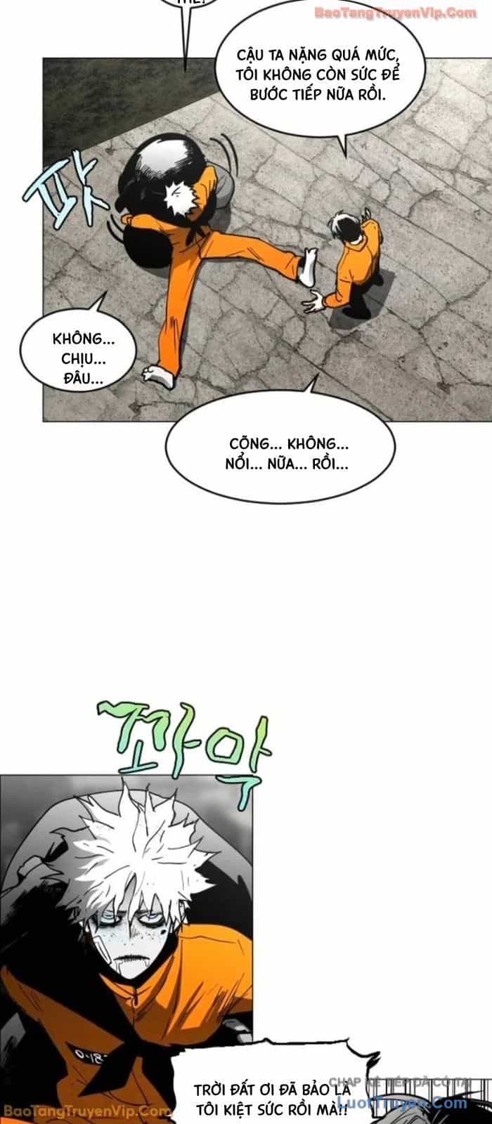 Vùng Đất Sương Mù - Chương 21 - ảnh 33
