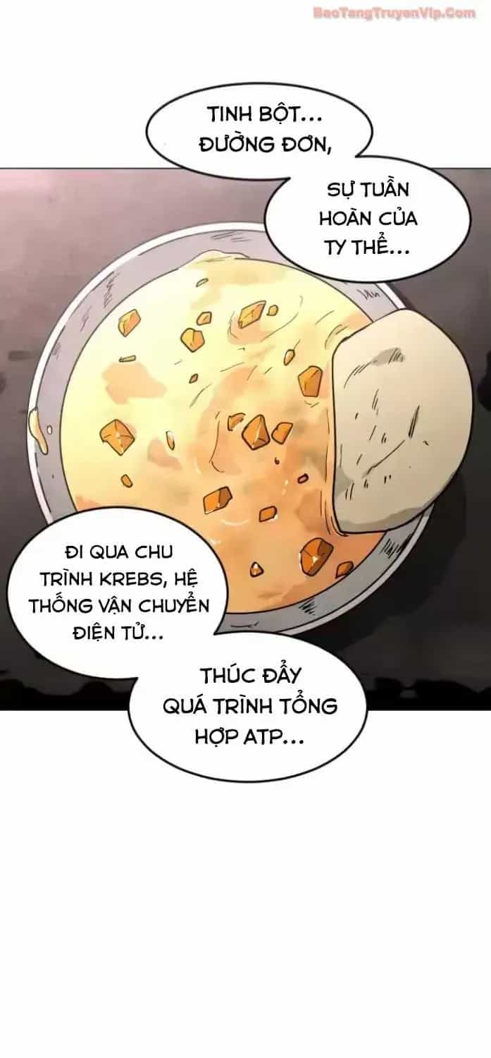 Vùng Đất Sương Mù - Chương 30 - ảnh 32