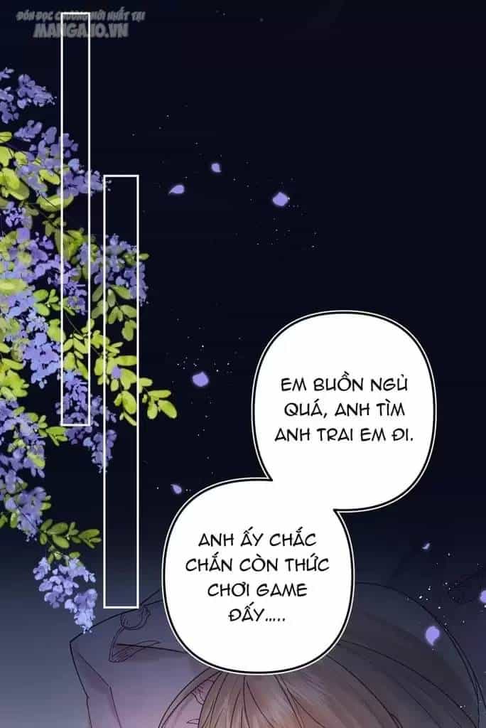 Vụng Trộm Giấu Không Được - Chương 108 - ảnh 44