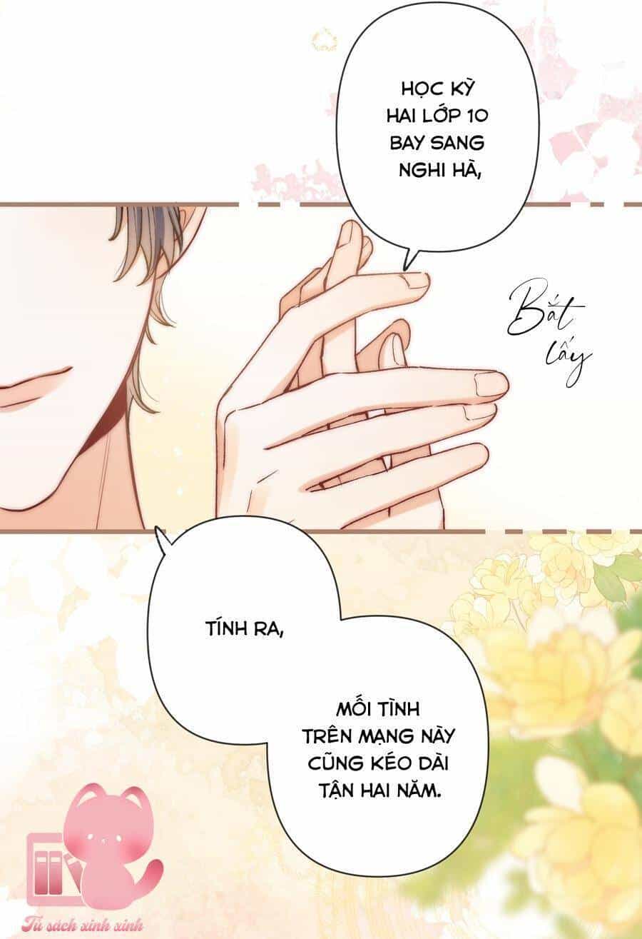 Vụng Trộm Giấu Không Được - Chương 118 - ảnh 11
