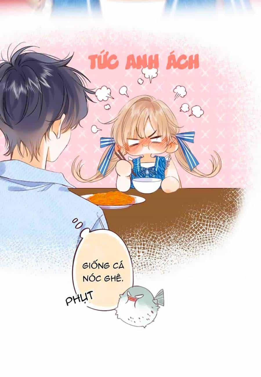 Vụng Trộm Giấu Không Được - Chương 18 - ảnh 19