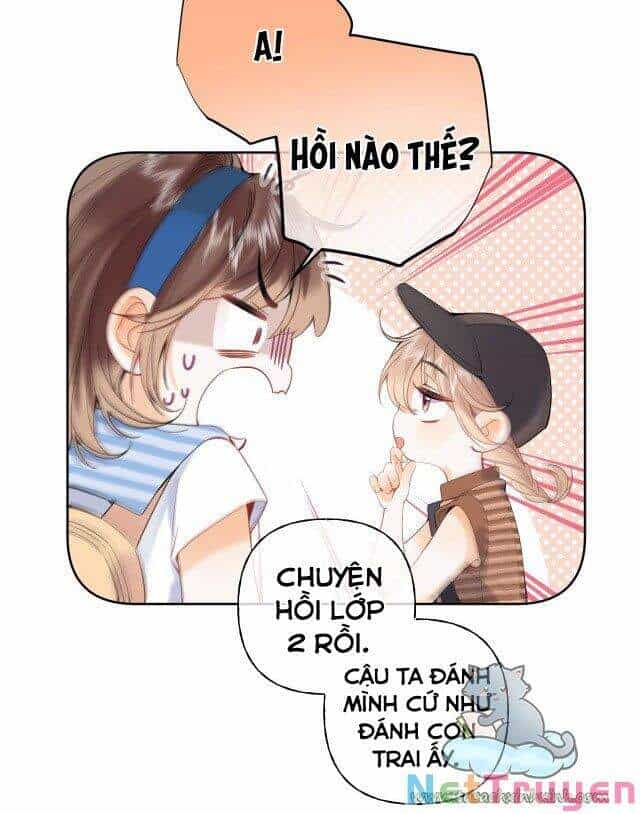 Vụng Trộm Giấu Không Được - Chương 19 - ảnh 17